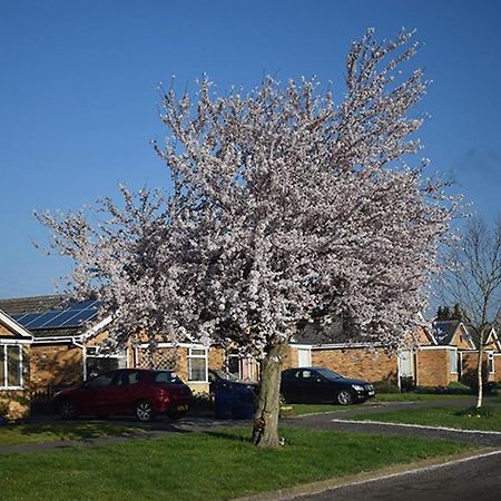Wings Bed and Breakfast Oakham Buitenkant foto