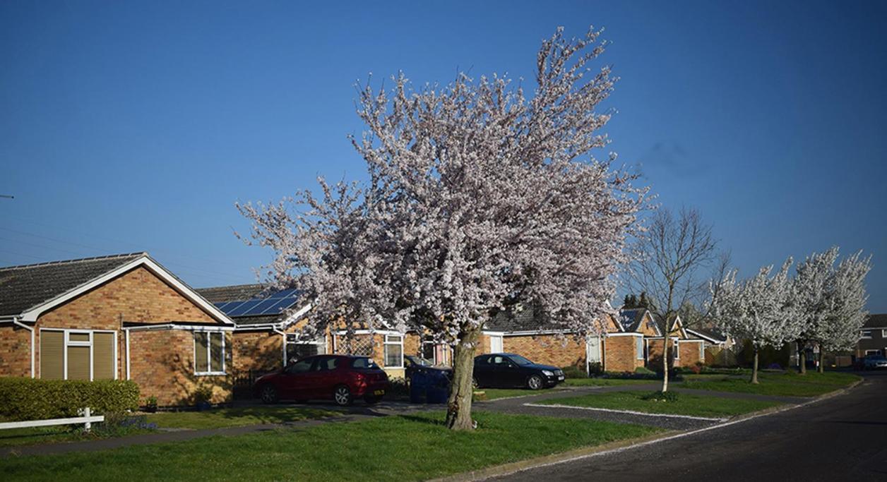 Wings Bed and Breakfast Oakham Buitenkant foto